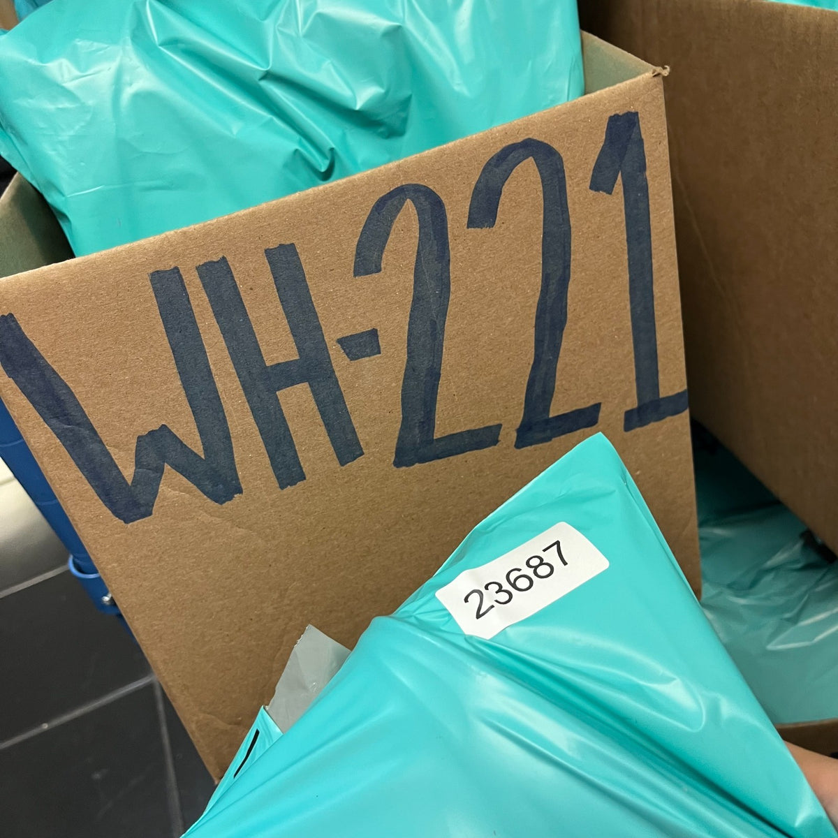 Image #12