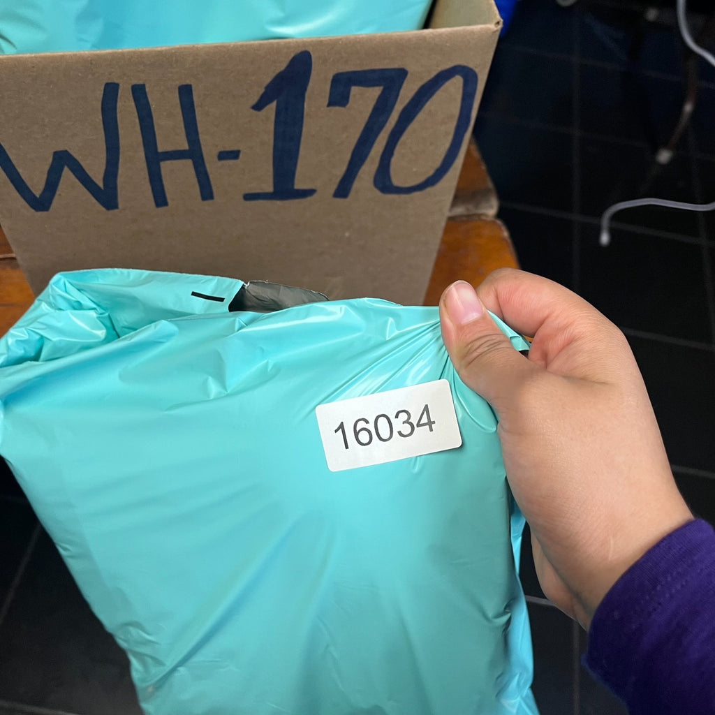 Image #12