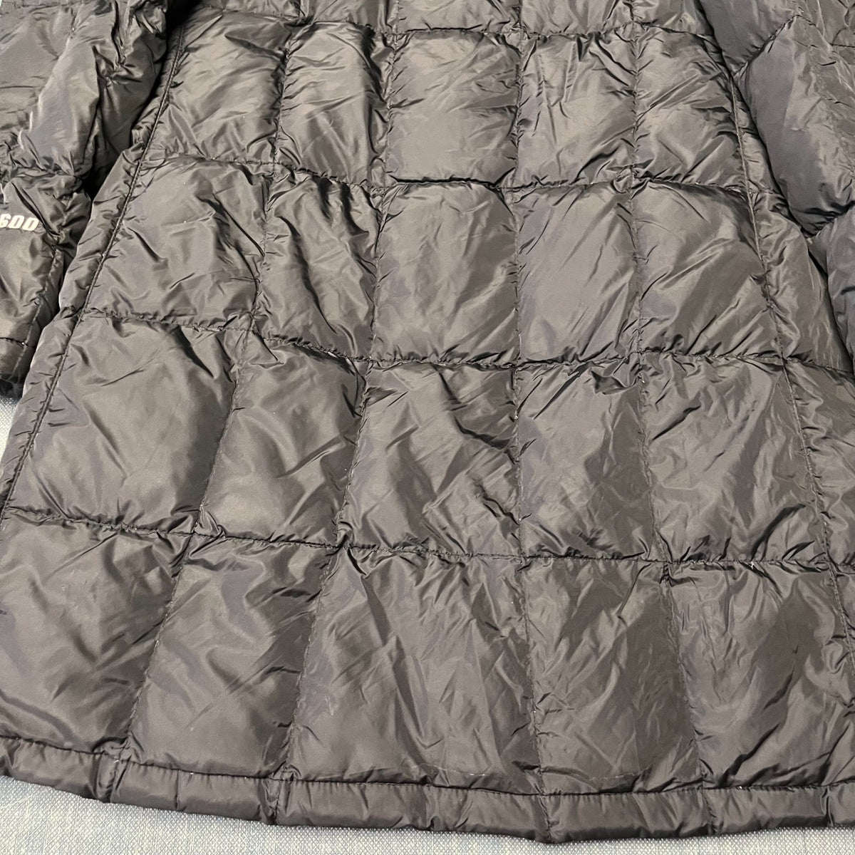 Image #12